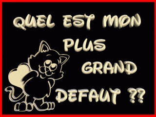 quel est mon defaut ou ma connerie?
