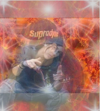 le meme styl